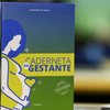 Caderneta Brasileira da Gestante tem distribuição prevista de 3,2 milhões de exemplares em todo o País - Divulgação/Agência Brasil