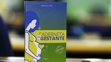 Caderneta Brasileira da Gestante tem distribuição prevista de 3,2 milhões de exemplares em todo o País - Divulgação/Agência Brasil
