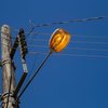 Medida deve aumentar acesso à energia elétrica em regiões remotas da Amazônia Legal - Adobe Stock
