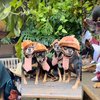 Depois de aposentada, Darci Maria começou a costurar roupinhas divertidas para os próprios cachorros - Reprodução / Instagram @darci_maria_rodrigues