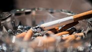 Dia Mundial Sem Tabaco tem como objetivo incentivar ações de prevenção e cessação do hábito de fumar - Envato