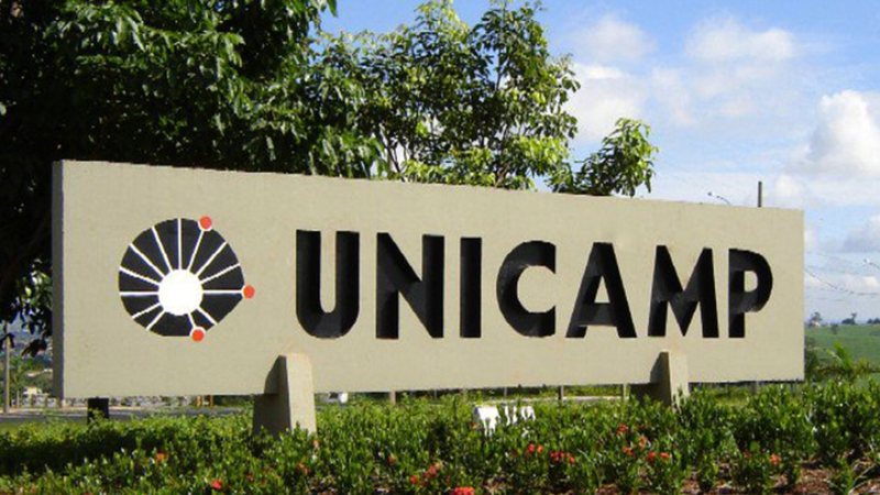 Ao menos 16 cursos já aprovaram paralisação, de um total de 69 - Reprodução/eco.unicamp.br