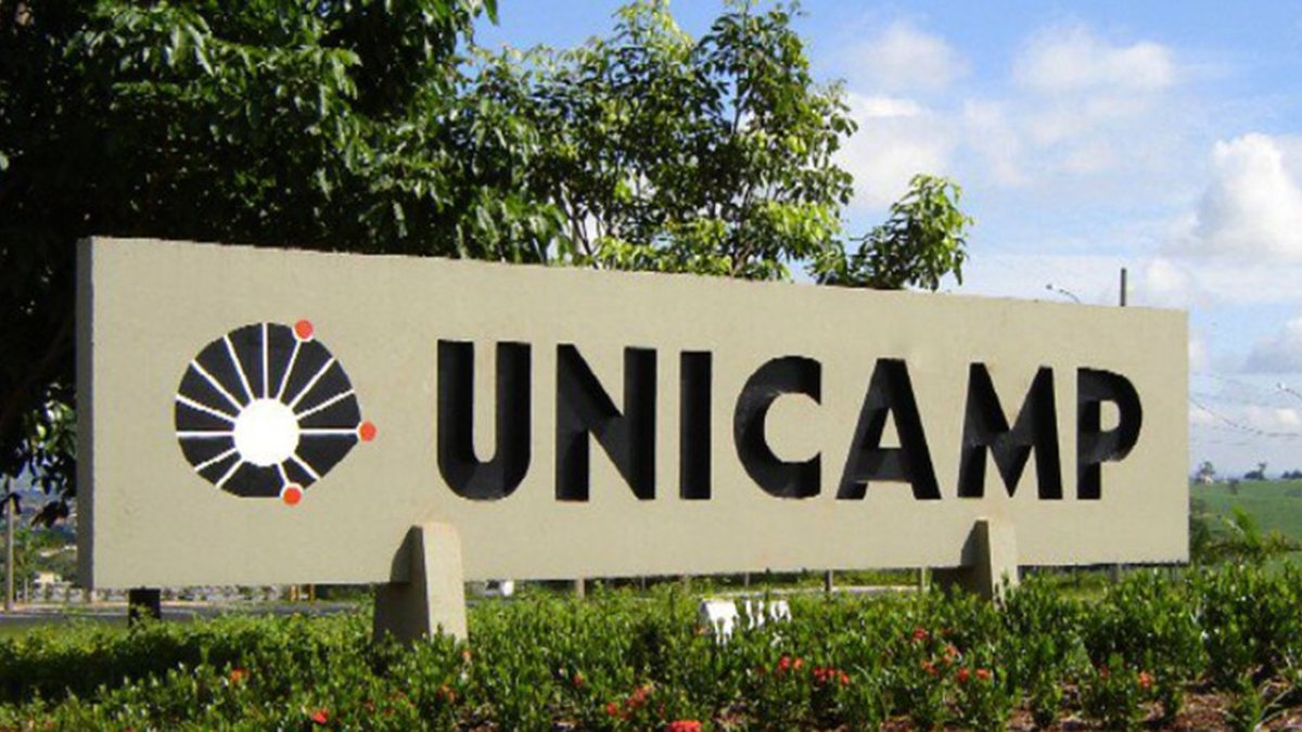 Ao menos 16 cursos já aprovaram paralisação, de um total de 69 - Reprodução/eco.unicamp.br