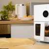 Airfryer já está completamente incorporada a rotina dos brasileiros - Envato