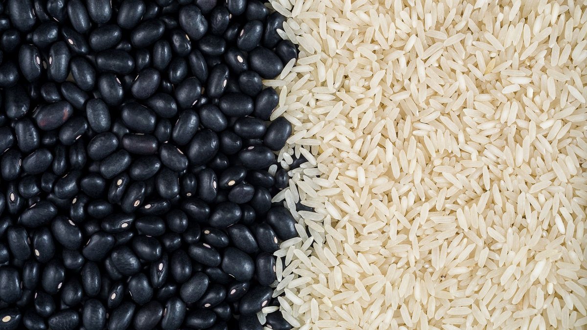 Produção de grãos deve chegar a 358,64 milhões de toneladas - Adobe Stock