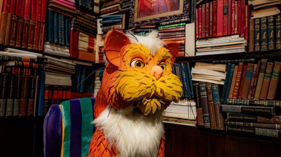 Gato Pintado, o felino culto que vive na biblioteca do Castelo e adora ler livros - Divulgação