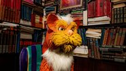 Gato Pintado, o felino culto que vive na biblioteca do Castelo e adora ler livros - Divulgação