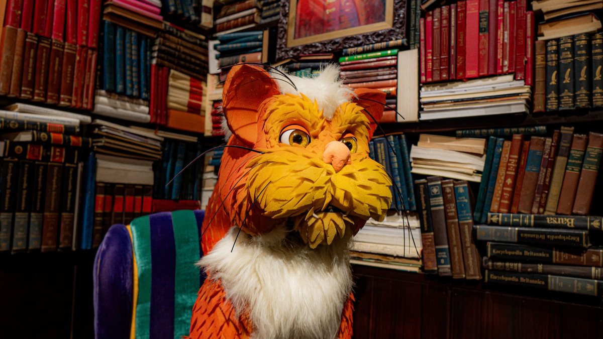 Gato Pintado, o felino culto que vive na biblioteca do Castelo e adora ler livros - Divulgação