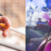 Os vapes têm sais de nicotina, uma formulação que permite uma absorção muito mais rápida e intensa pelo organismo - Magnific