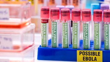 OMS e Médicos Sem Fronteiras alertam para cadeias de transmissão desconhecidas - Envato