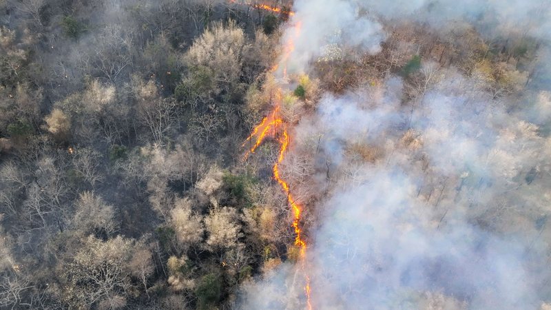 El Niño pode exacerbar a seca e aumentar o risco de ondas de calor - Adobe Stock