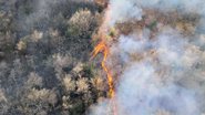 El Niño pode exacerbar a seca e aumentar o risco de ondas de calor - Adobe Stock