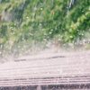 Frente fria aumenta o risco de queda de granizo em alguns Estados - Adobe Stock
