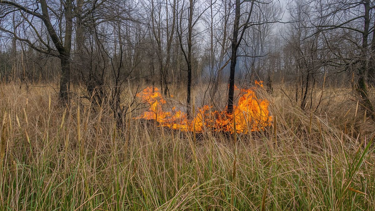 Painel cruzará os dados meteorológicos, mapas de risco e monitoramento em tempo real no combate a incêndios - Adobe Stock