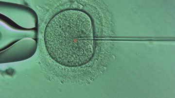 Técnica se mostrou mais segura do que anteriores ao alterar genes relacionados à anemia falciforme e a doenças cardiovasculares - Reprodução/Acervo pessoal