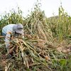 Governo argumentou que medida criaria despesa sem estimativa do impacto no orçamento - Envato