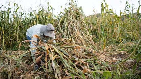 Governo argumentou que medida criaria despesa sem estimativa do impacto no orçamento - Envato