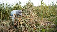 Governo argumentou que medida criaria despesa sem estimativa do impacto no orçamento - Envato