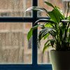 No inverno, o solo demora mais para secar e o metabolismo das plantas desacelera - Adobe Stock