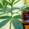 Hoje, o SUS disponibiliza medicamentos à base de canabidiol (CBD). Porém, essa oferta não é padronizada em todo o País - Adobe Stock