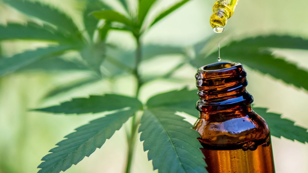 Hoje, o SUS disponibiliza medicamentos à base de canabidiol (CBD). Porém, essa oferta não é padronizada em todo o País - Adobe Stock