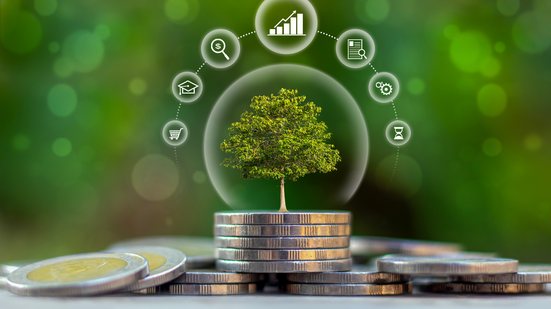 Resultados do estudo devem ser apresentados em setembro - Adobe Stock