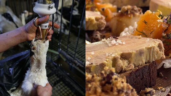 Foie gras é um alimento produzido a partir do fígado de patos e gansos submetidos a um processo de engorda  forçada e cruel - Animal Equality e Pexels