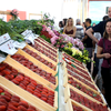 42ª Festa do Morango de Jarinu e Atibaia abre novamente os portões neste final de semana - Divulgação/Sandro Zeppi
