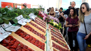 42ª Festa do Morango de Jarinu e Atibaia abre novamente os portões neste final de semana - Divulgação/Sandro Zeppi