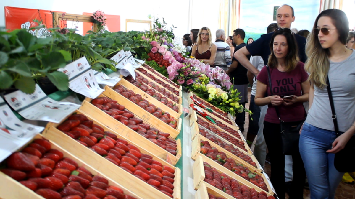 42ª Festa do Morango de Jarinu e Atibaia abre novamente os portões neste final de semana - Divulgação/Sandro Zeppi