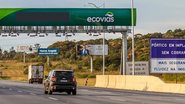 Quem não tem tag deve ser fazer o pagamento pela plataforma www.sigafacil.sp.gov.br - Reprodução/Instagram @ecoviasimigrantes