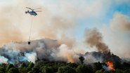 Mais de 1,2 mil bombeiros tentam apagar incêndio no centro de Portugal - Adobe Stock
