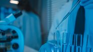 Primeiro caso de Influenza Aviária de Alta Patogenicidade (IAAP) no ano foi diagnosticado próximo a Barretos - Envato