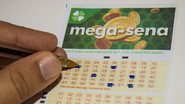 Prêmio da Mega-Sena acumula e chega a R$ 45 milhões nesta quinta-feira - Adobe Stock