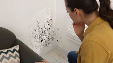 A exposição contínua ao mofo ou bolor pode agravar problemas já existentes, como rinite, sinusite, bronquite e asma - Adobe Stock