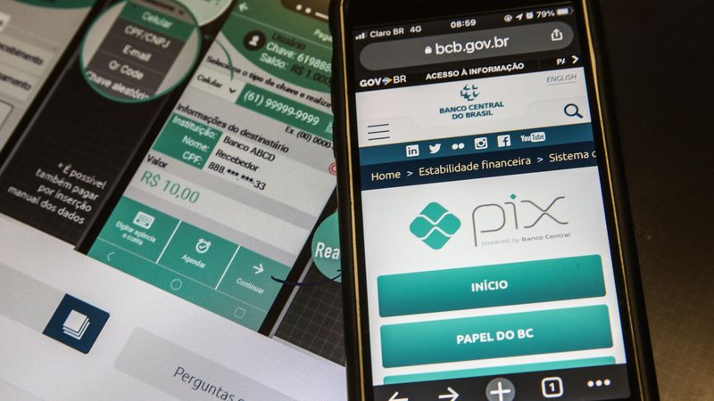 Usado em mais da metade das compras on-line, o Pix representa apenas 41% do volume financeiro - Marcello Casal Jr/.Agência Brasil