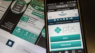 Usado em mais da metade das compras on-line, o Pix representa apenas 41% do volume financeiro - Marcello Casal Jr/.Agência Brasil