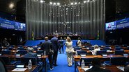 Com a aprovação, o projeto segue para sanção presidencial - Reprodução/Agência Senado/Ton Molina
