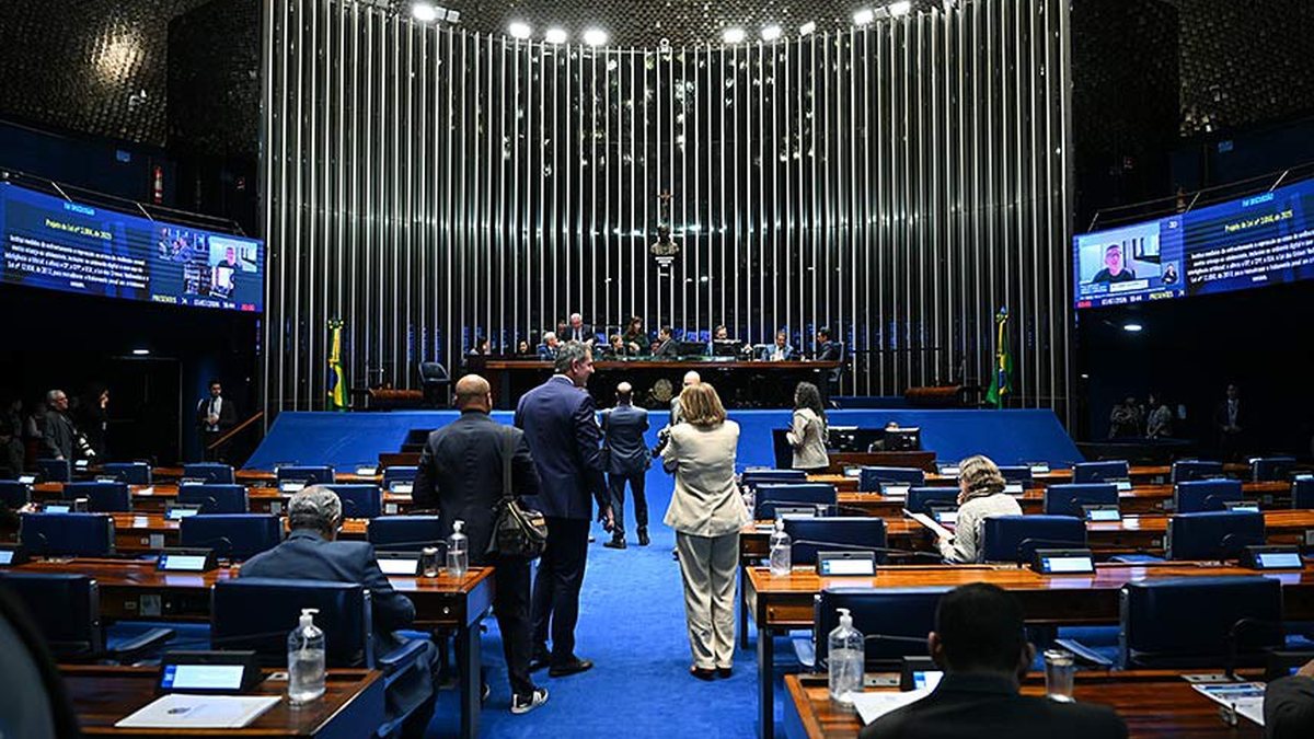 Com a aprovação, o projeto segue para sanção presidencial - Reprodução/Agência Senado/Ton Molina