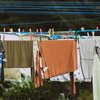 Testes ajudam a identificar se a roupa está apenas gelada ou ainda molhada antes de guardar a peça - Pixabay