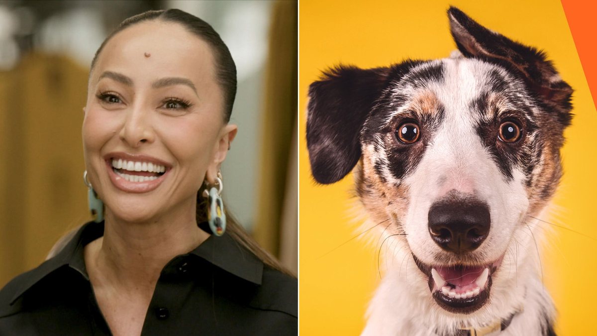 Programa é a versão nacional do formato "The Dog House", sucesso em vários países - Divulgação/Globo