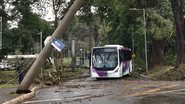 Vendaval causou bloqueios de vias, quedas de árvores e destelhamentos - @ovictorhuguw via X