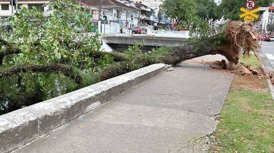 Árvore cai e fica atravessada no canal 1, no bairro do Marapé, em Santos (SP) - Jota Erre/Agif - Agência De Fotografia/Estadão Conteúdo