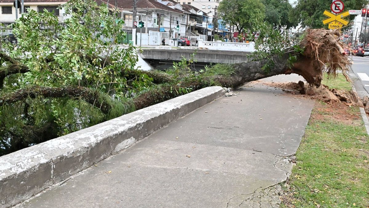Árvore cai e fica atravessada no canal 1, no bairro do Marapé, em Santos (SP) - Jota Erre/Agif - Agência De Fotografia/Estadão Conteúdo