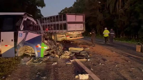 Acidente ocorreu por volta das 3h30, na BR-373 - PRF/Divulgação