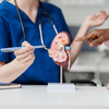A diálise peritoneal é um tipo de tratamento que pode ser feito em casa para tratar doença renal crônica em pacientes que aguardam transplante - AdobeStock
