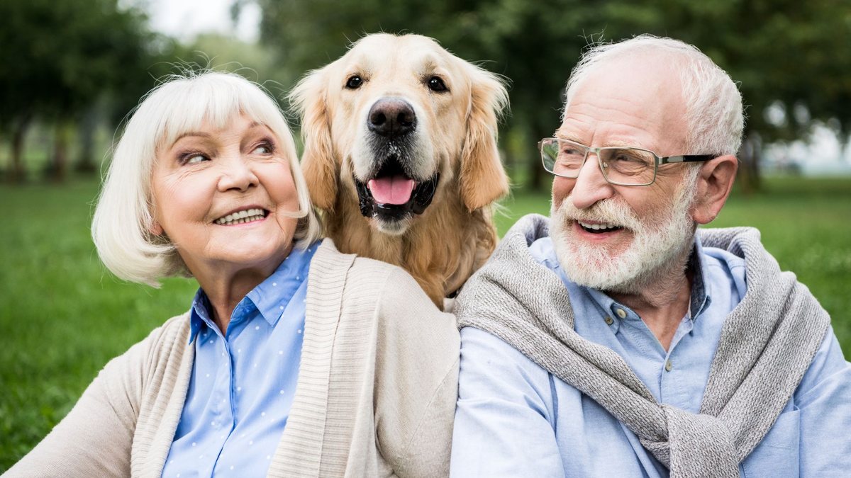 Cães representam uma ponte para fortalecer relações familiares e sociais na vida de idosos - Adobe Stock