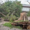 Mais uma vez, temporais e ventos fortes castigam Rio Grande do Sul - Evandro Leal/Enquadrar/Estadão Conteúdo