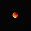 O eclipse lunar começa exatamente às 22h24 e segue pela madrugada - Pexels