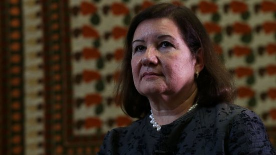 Maria Luiza Ribeiro Viotti, embaixadora do Brasil nos EUA, teve visto revogado - José Cruz/Agência Brasil